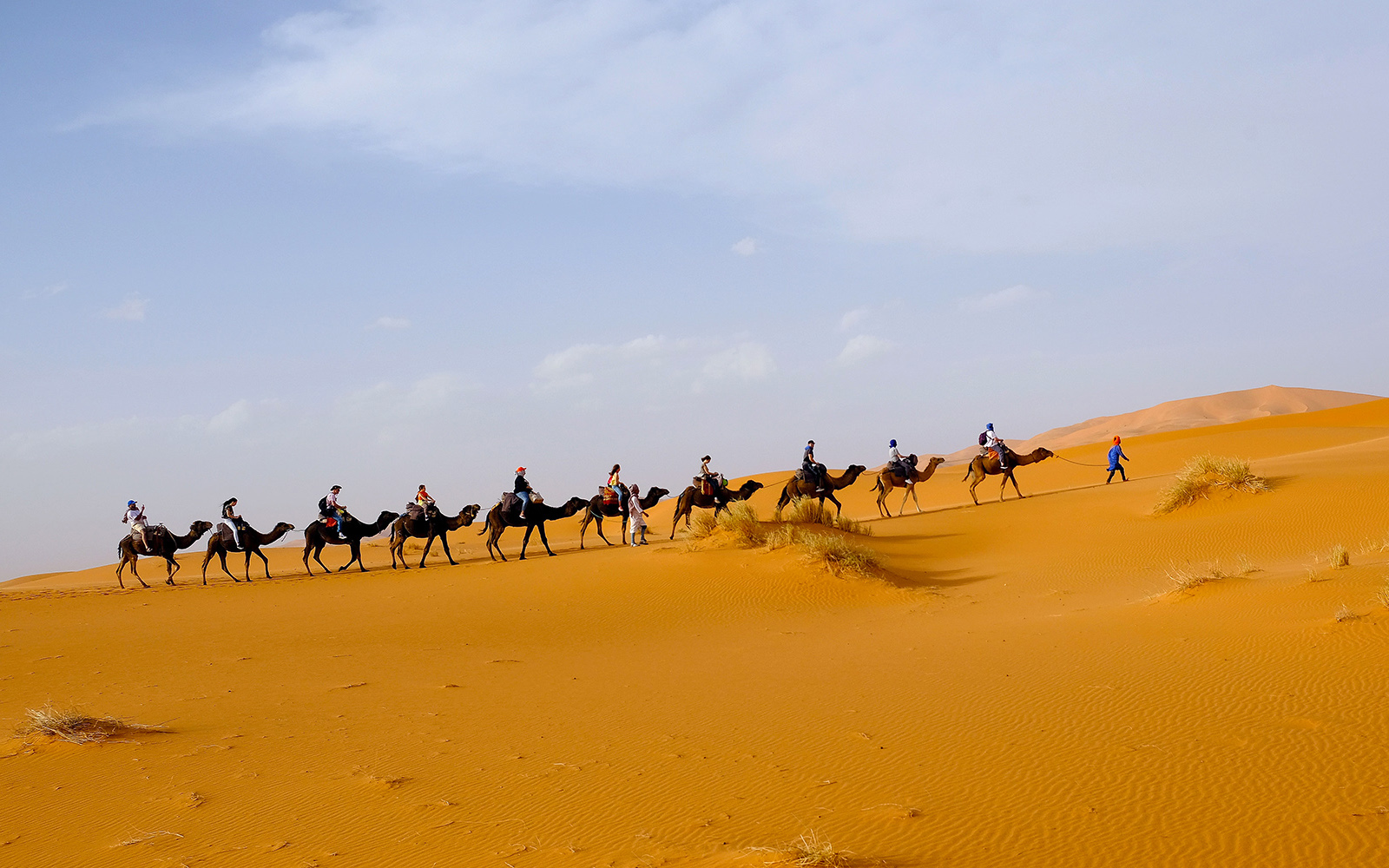 Sahara Desert Tour - Activities - Camel Trekking