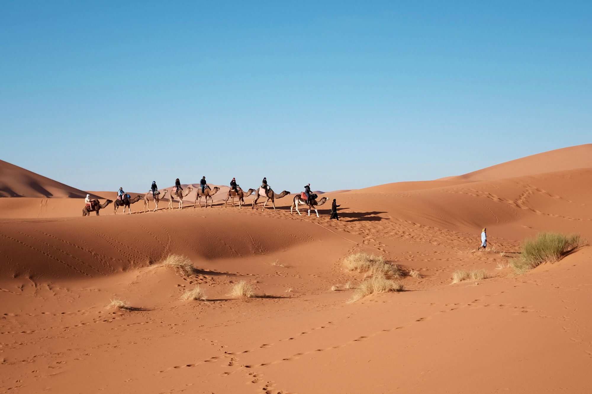 Sahara Desert Tours