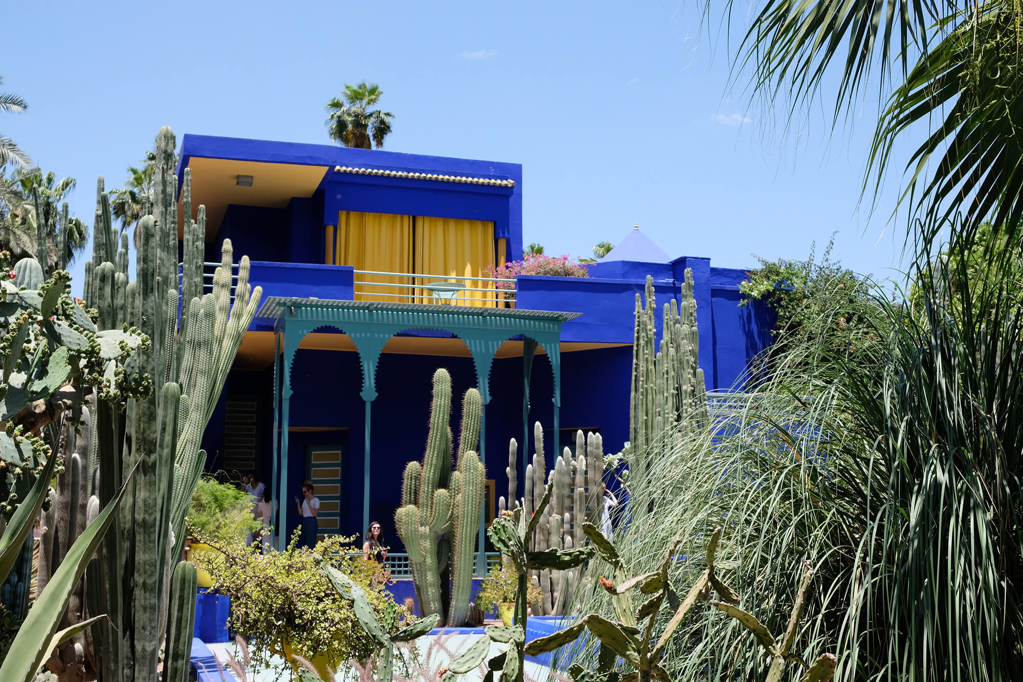 Excursão ao Deserto do Saara - Dez melhores coisas para fazer em Marrocos - Passeie pelo Jardin Majorelle