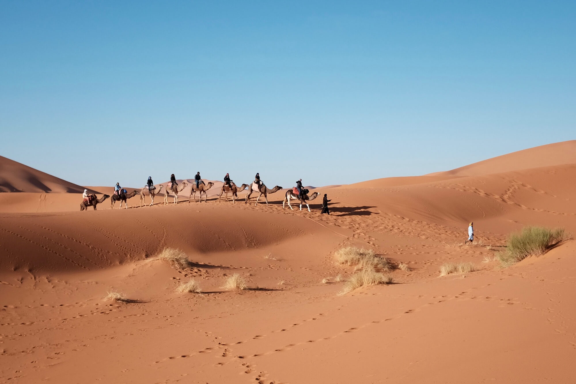 Sahara Desert Tour - Deserts of Morocco