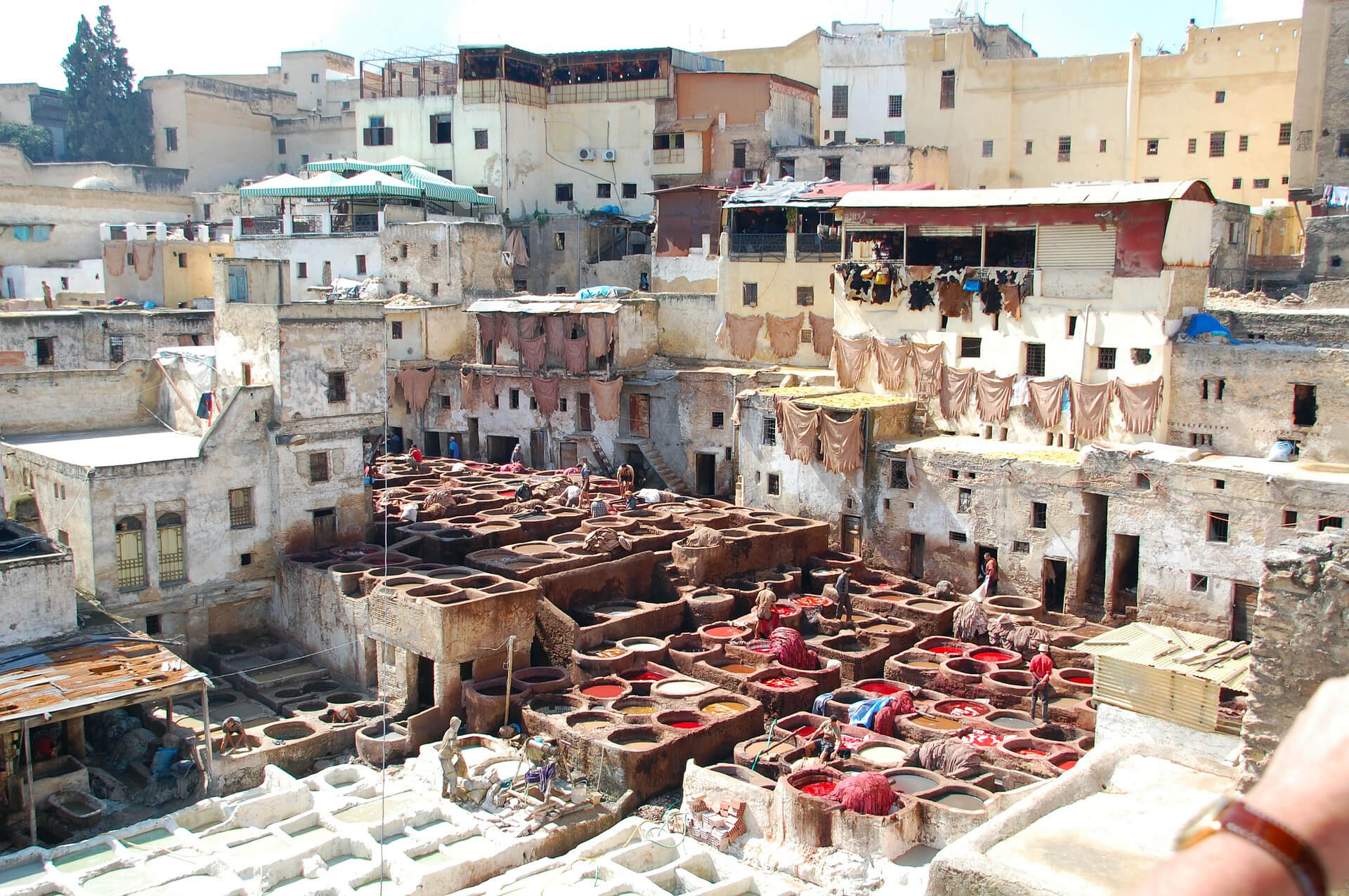 Sahara Desert Tour - What To Do and See in Fez - Chouara Tannery