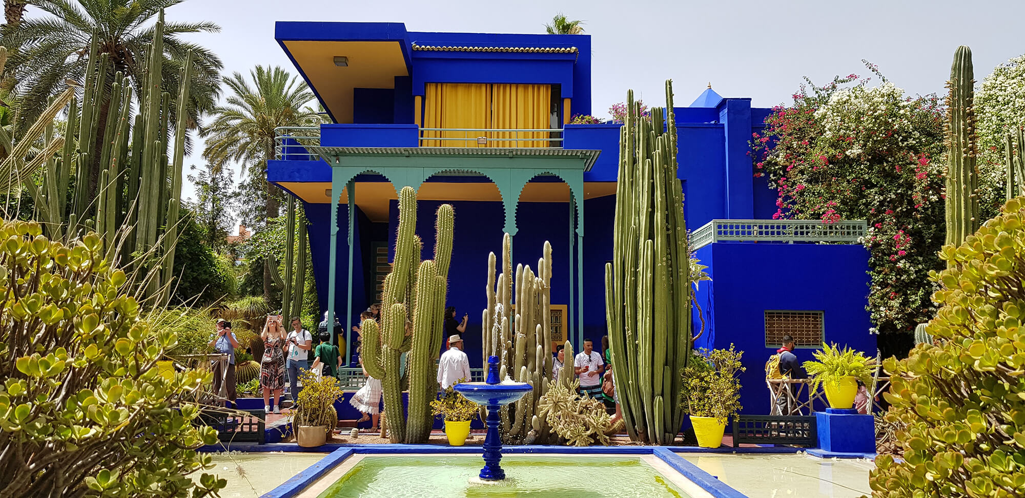 Excursão ao Deserto do Saara - Explore a magia de Marrakech, onde o antigo encontra o novo - Jardin Majorelle