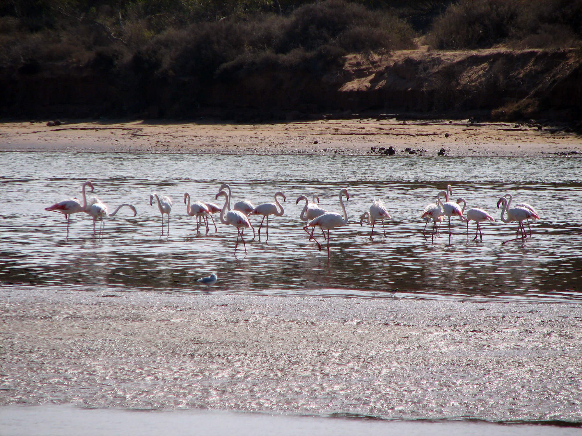 Sahara Desert Tour - Discover the Souss Valley - Souss Massa National Park