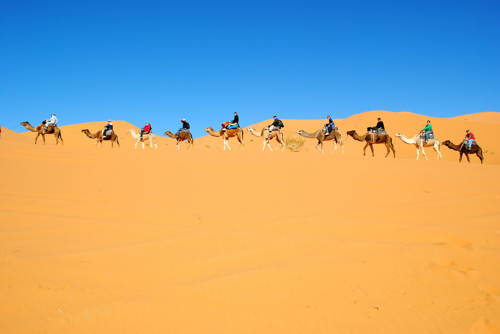 Five Amazing Adventure Activities in Morocco - Camel Trekking through the Sahara Desert