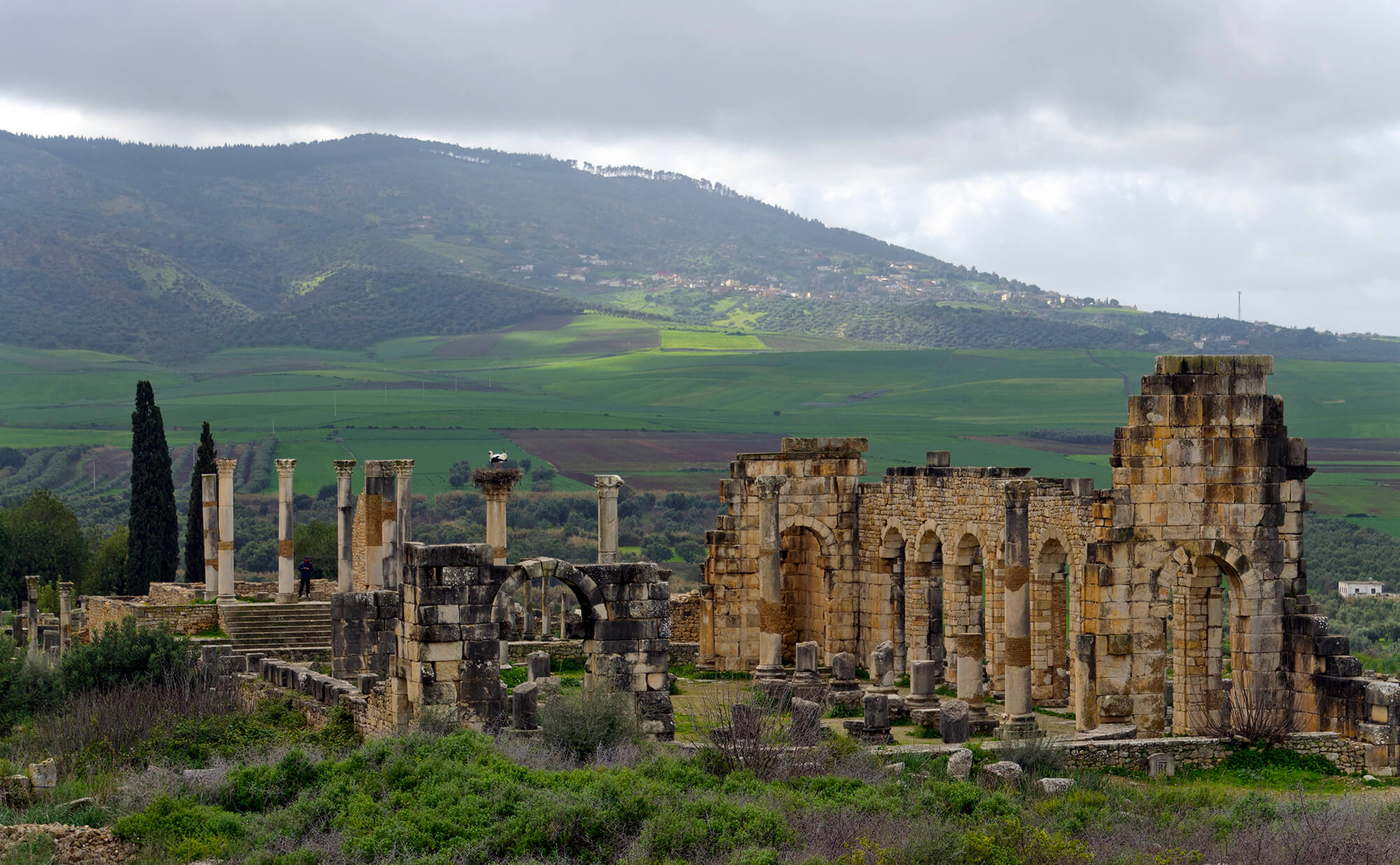 Excursão ao Deserto do Saara - O que ver e fazer em Meknes, uma das maiores cidades antigas de Marrocos - Volubilis