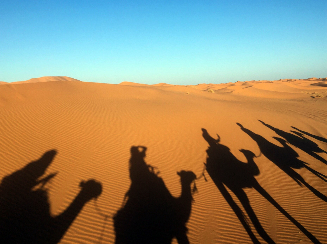 Sahara Desert Tour - Camel Trekking In The Desert