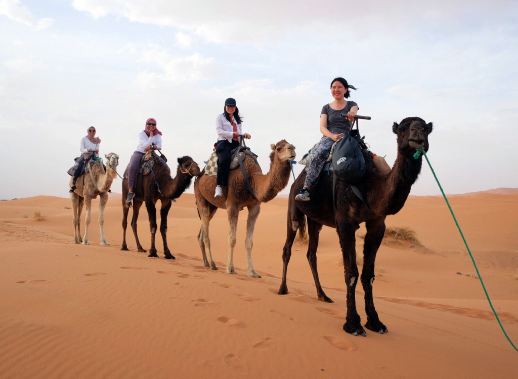 Sahara Desert Tour - Camel Caravan - Agadir
